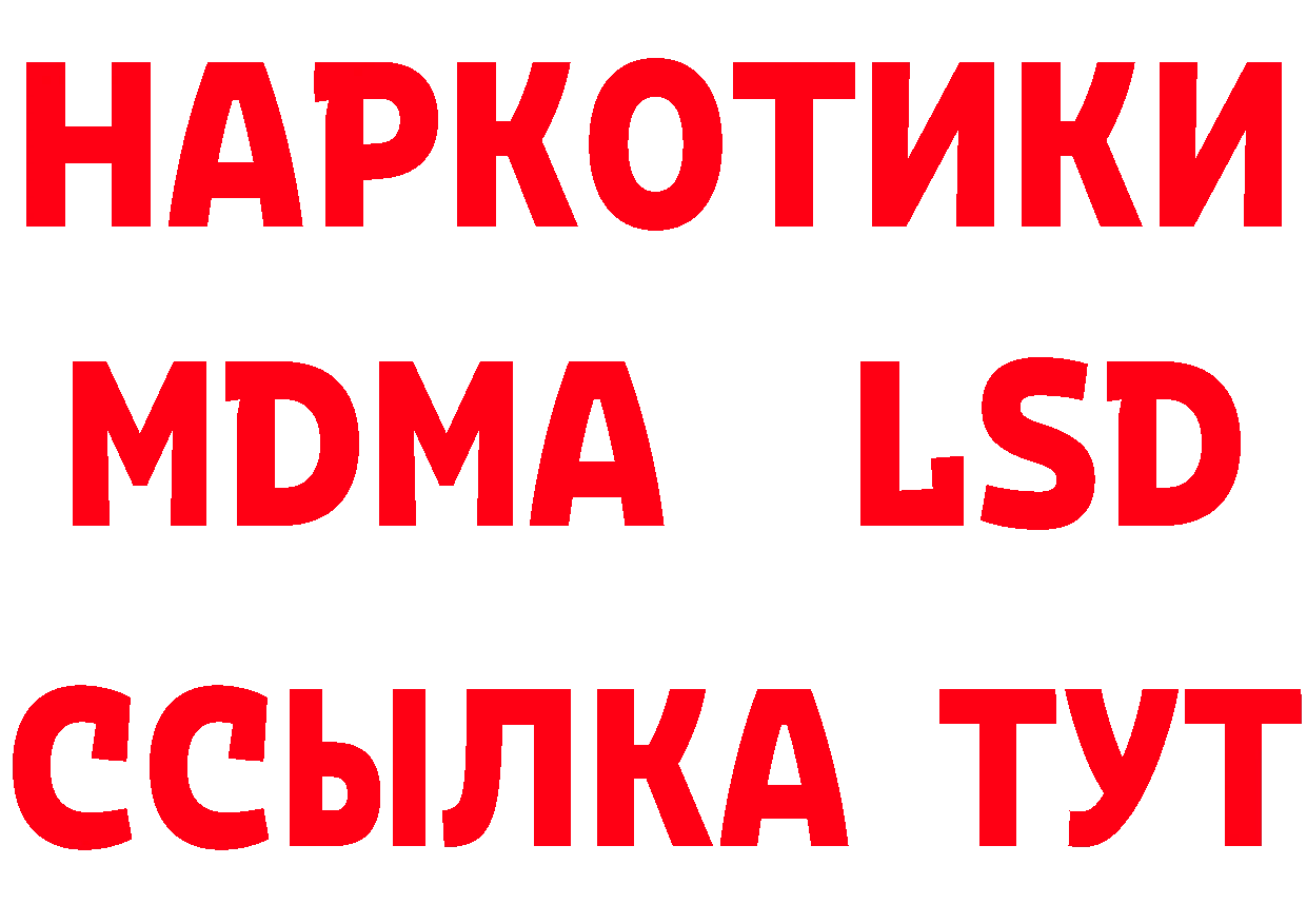 МЯУ-МЯУ 4 MMC онион мориарти ОМГ ОМГ Елабуга